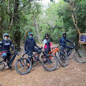 Las Whyte se tomaron Ninhue! 
Nada como poder pedalear en la semana y sobre todo por los bosques milenarios, @cfuentesm junto a sus amigos disfrutando el bikepark y tremendo trabajo de @las2antoniasbikepark 🙌🏻
.
@whytechile @bikingchile #WhyteFamily